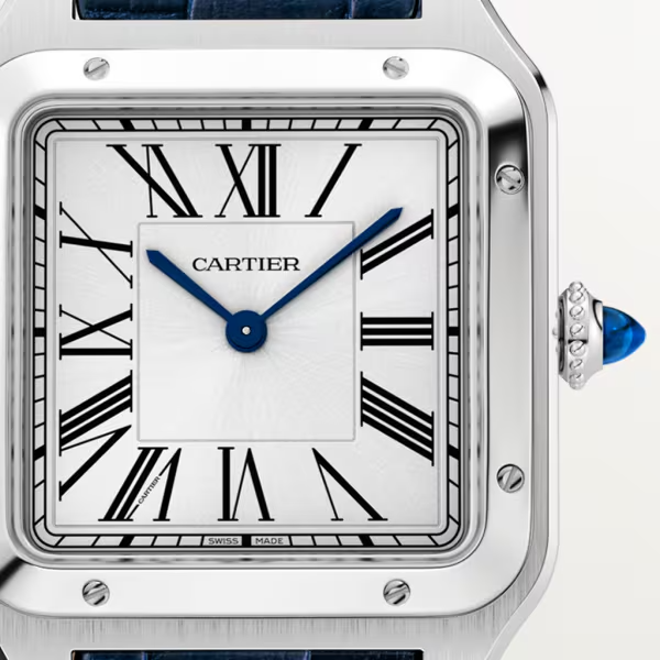 Unworn Santos Dumont, Stainless Steel, 43.5mm x 31.4mm, photo 3