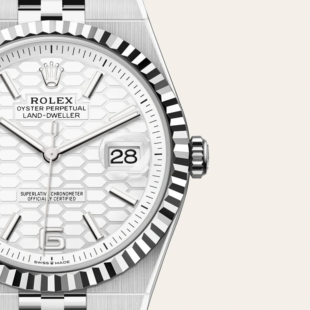 Land-Dweller 40mm Oystersteel & White Gold M127334-0001, photo 2