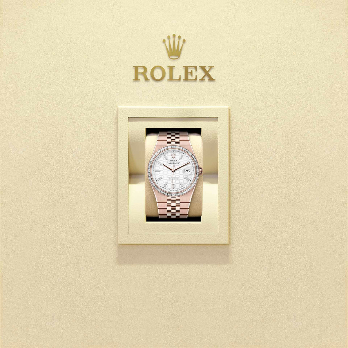 Land-Dweller 40mm Oyster Everose Gold & Diamonds, photo 4
