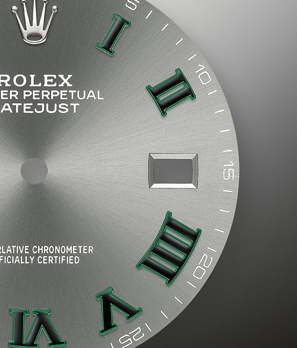 Datejust 41 Oystersteel and white gold, photo 2