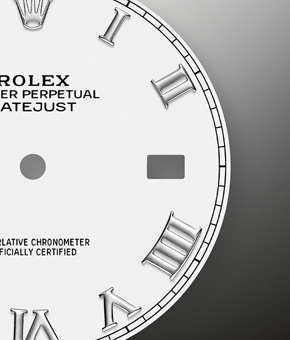 Datejust 41 Oystersteel and white gold, photo 2