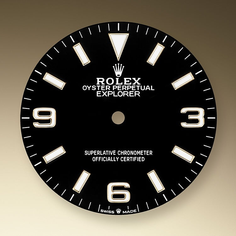 Explorer, 18k Yellow Gold and Stainless steel, 36mm, 2024, photo 2
