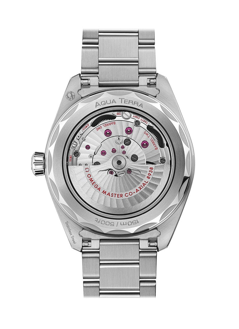 Seamaster Aqua Terra 150m Co‑Axial Master Chronometer GMT Worldtimer, photo 2