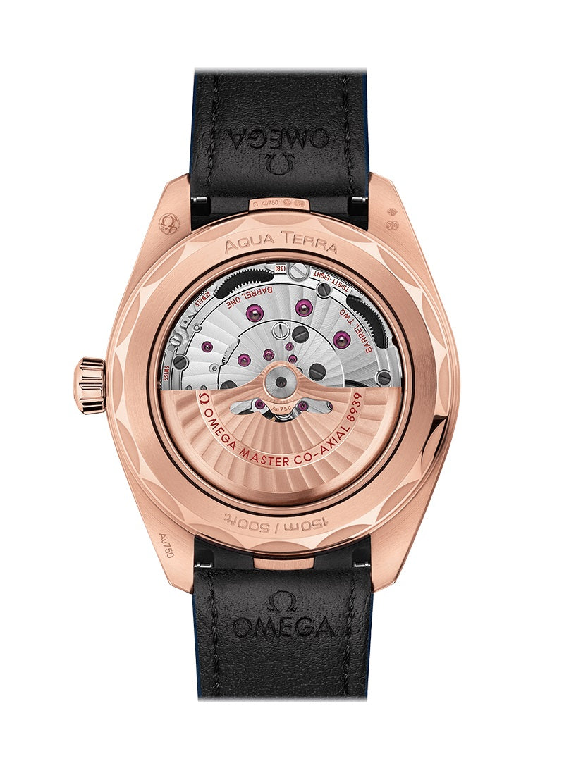 Seamaster Aqua Terra 150m Co‑Axial Master Chronometer GMT Worldtimer, photo 2