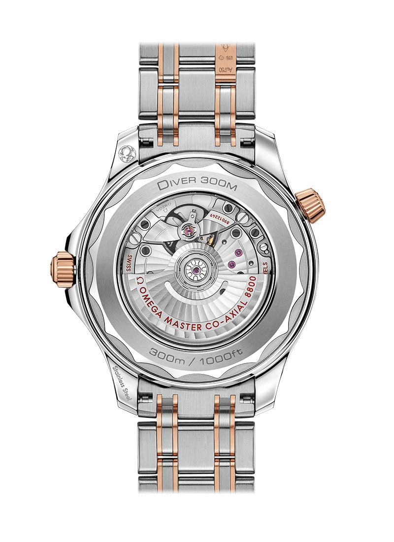 Seamaster Diver 300m Co‑Axial Master Chronometer, photo 2