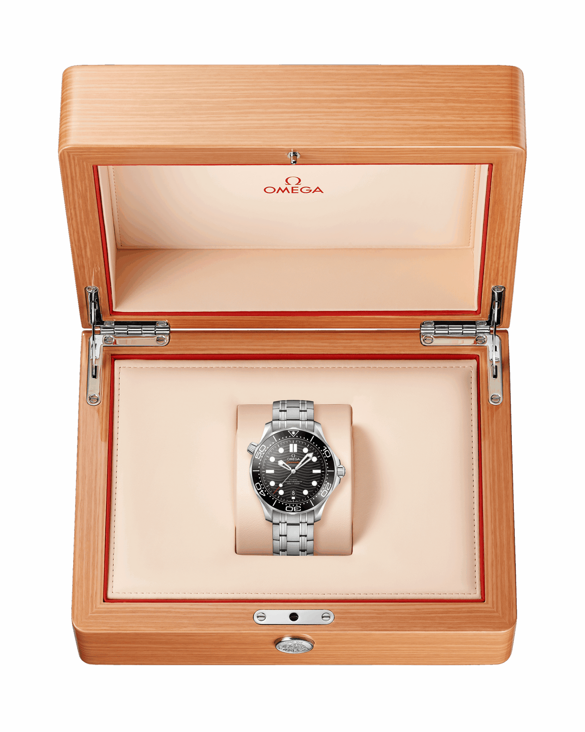 Seamaster Diver 300m Co‑Axial Master Chronometer, photo 9