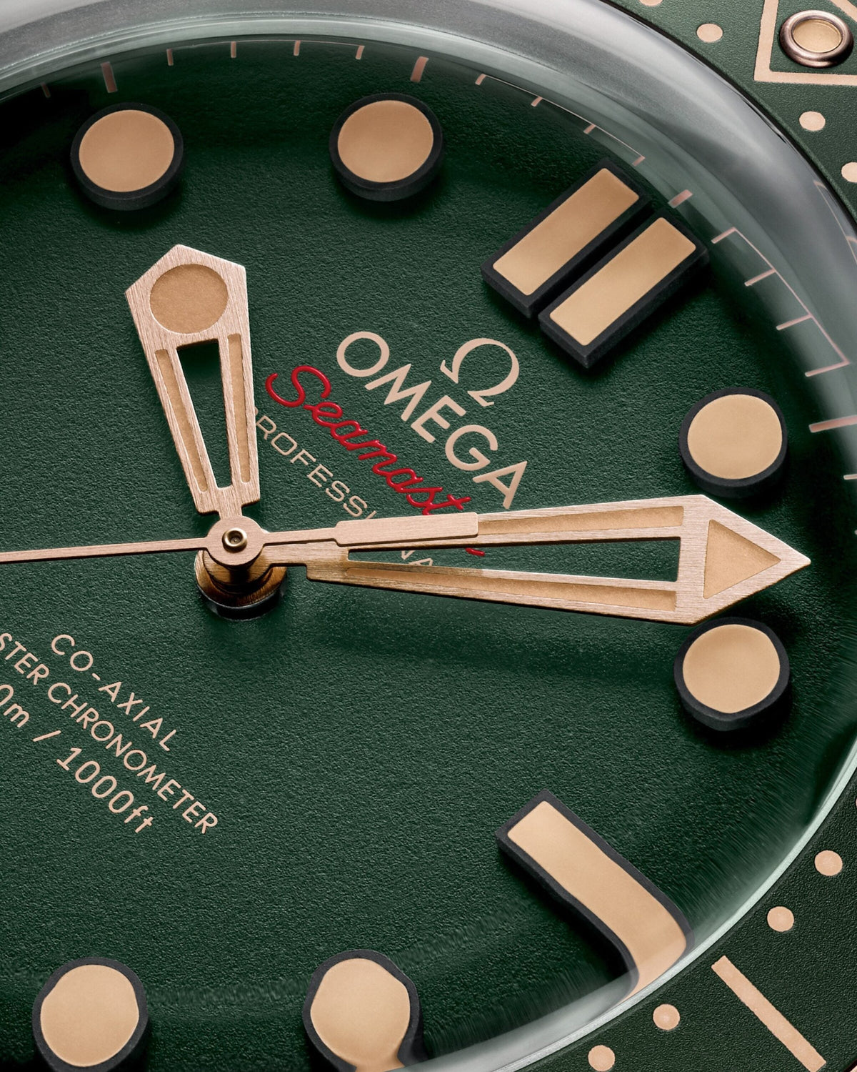 Unworn, Seamaster Diver 300m, Titanium and exclusive 9K Bronze Gold, 42mm, photo 3