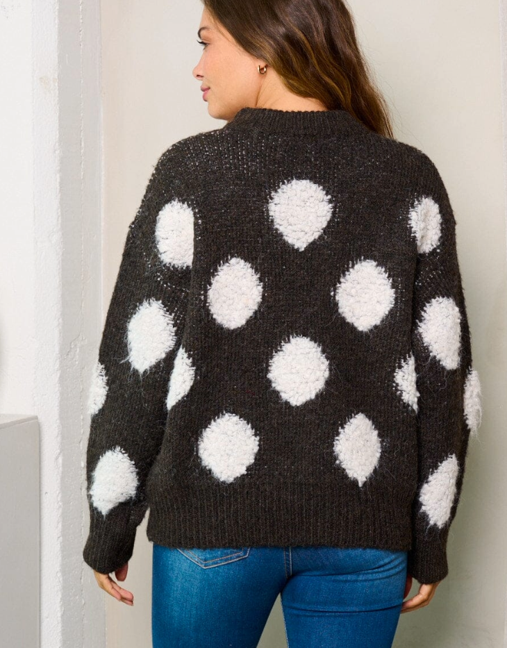 Long Sleeve Colorblock Dots Sweater, Hickory/White