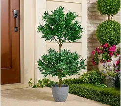 Wicker Park 41" Olive Topiary Tree with Pot