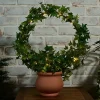 Compass Home Illuminated Grapevine Wreath in Planter