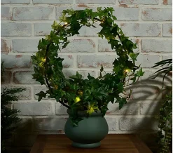 Compass Home Illuminated Grapevine Wreath in Planter - Green