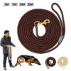 Dog training belt