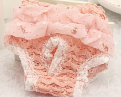 Female Dog Aunt Physiological Pants Panties - Pink, L