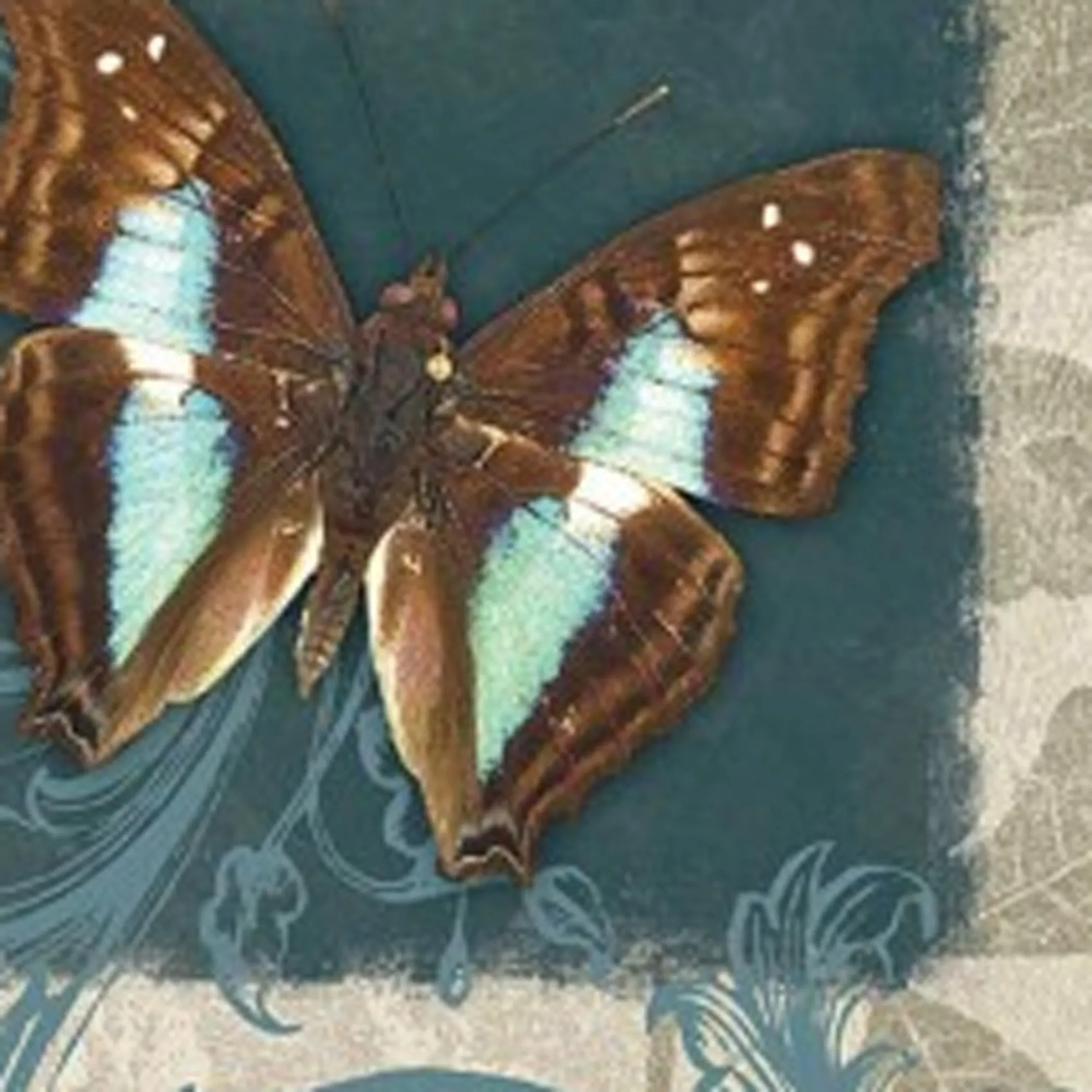 Set Of Three Butterflies White Framed Print Wall Art - Image 4