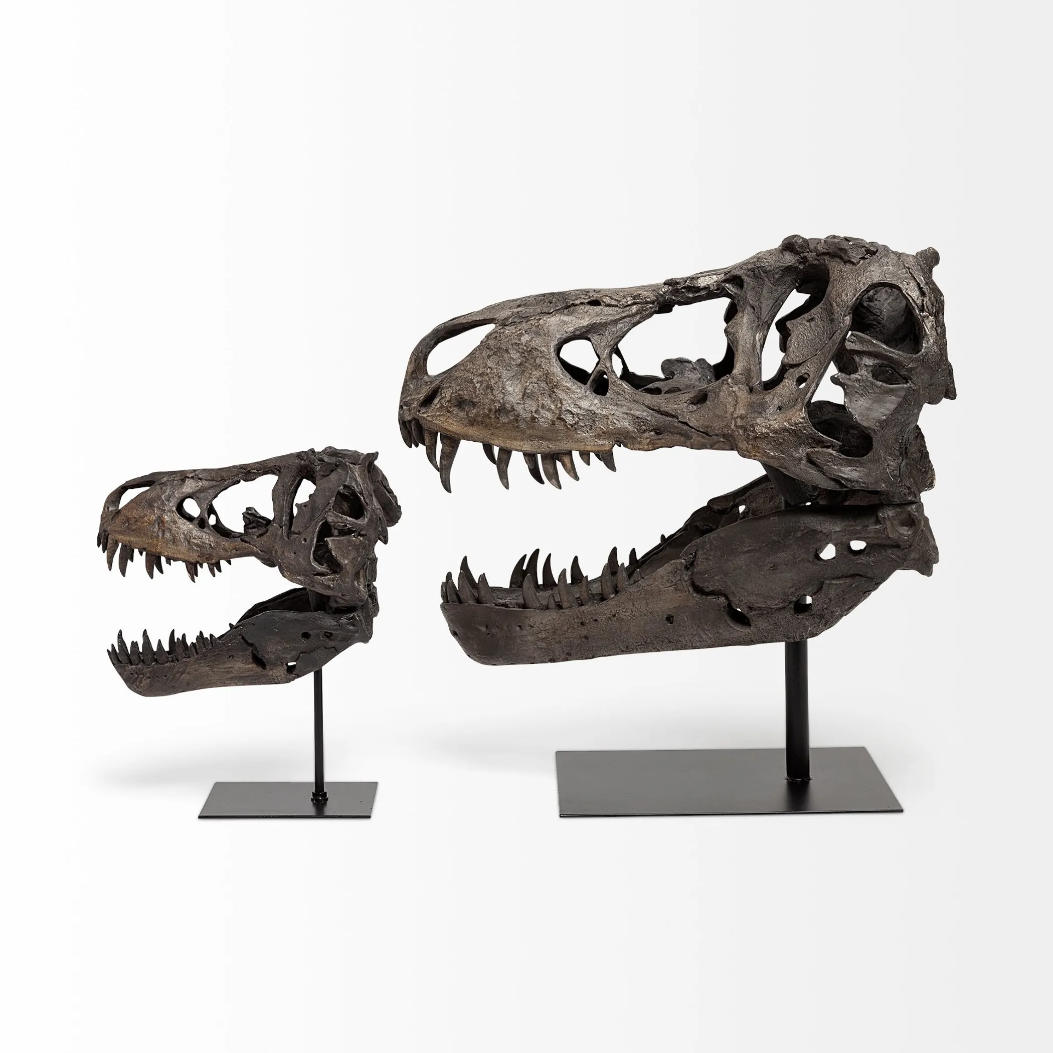 Authentic Replica T Rex Skull Sculpture - Image 5