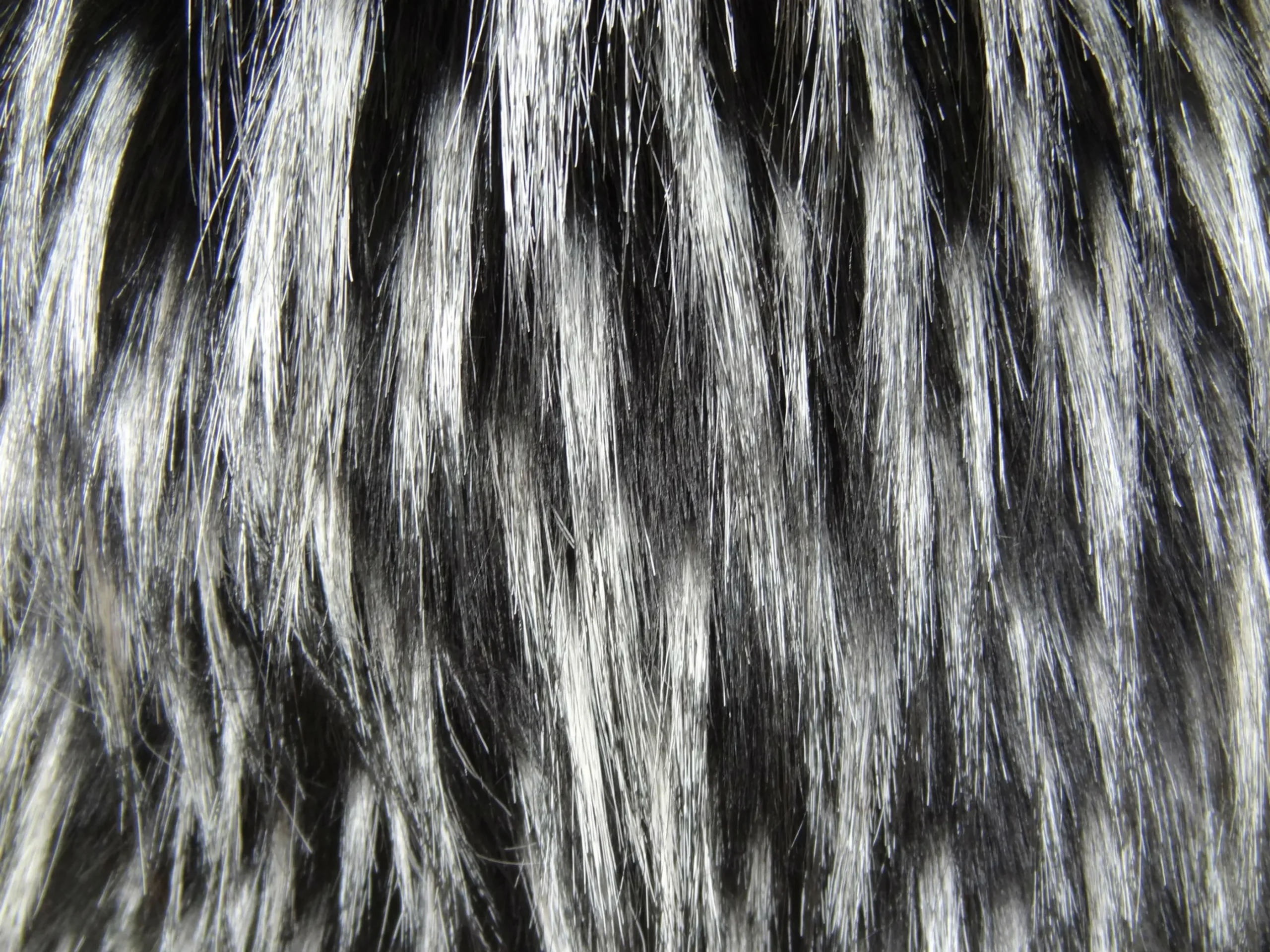 Plutus Wolf Fur Lover Black White Handmade Luxury Pillow - Image 3