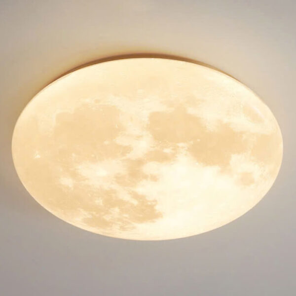 Flush Mount Ceiling Light MOV63
