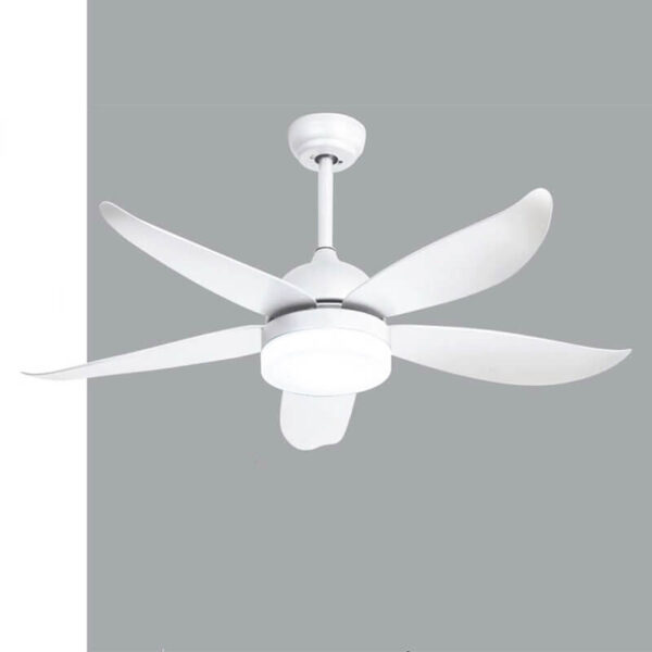 Ceiling Fan with Light QDR20