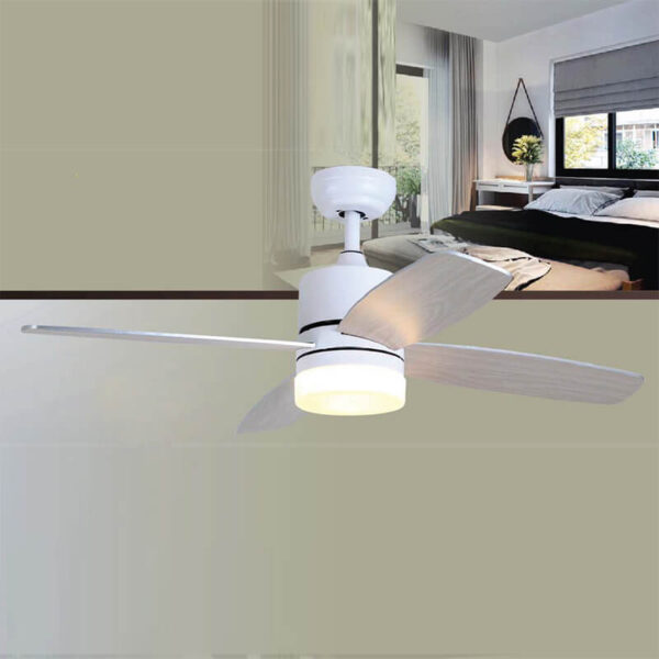 Ceiling Fan with Light QDR40