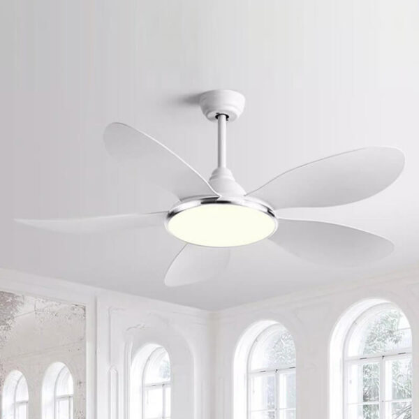 Ceiling Fan with Light QDV17