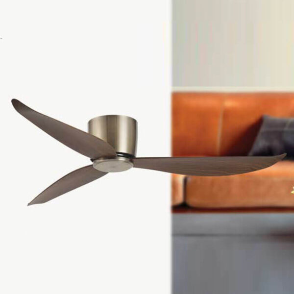 Ceiling Fan with Light QDX74