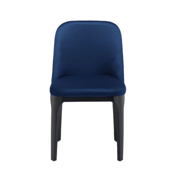 Blue And Black Velvet and Metal Dining Side Chair