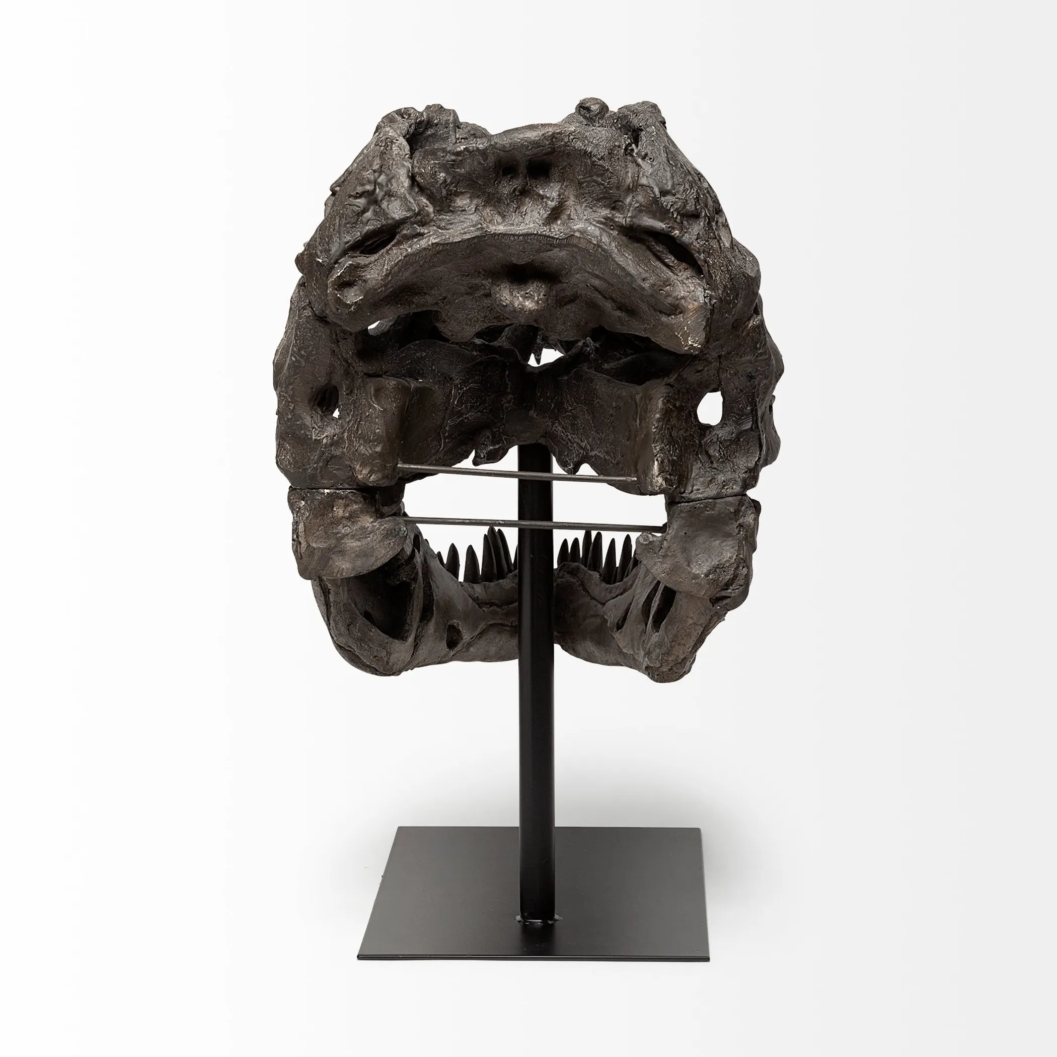 Authentic Replica T Rex Skull Sculpture - Image 4