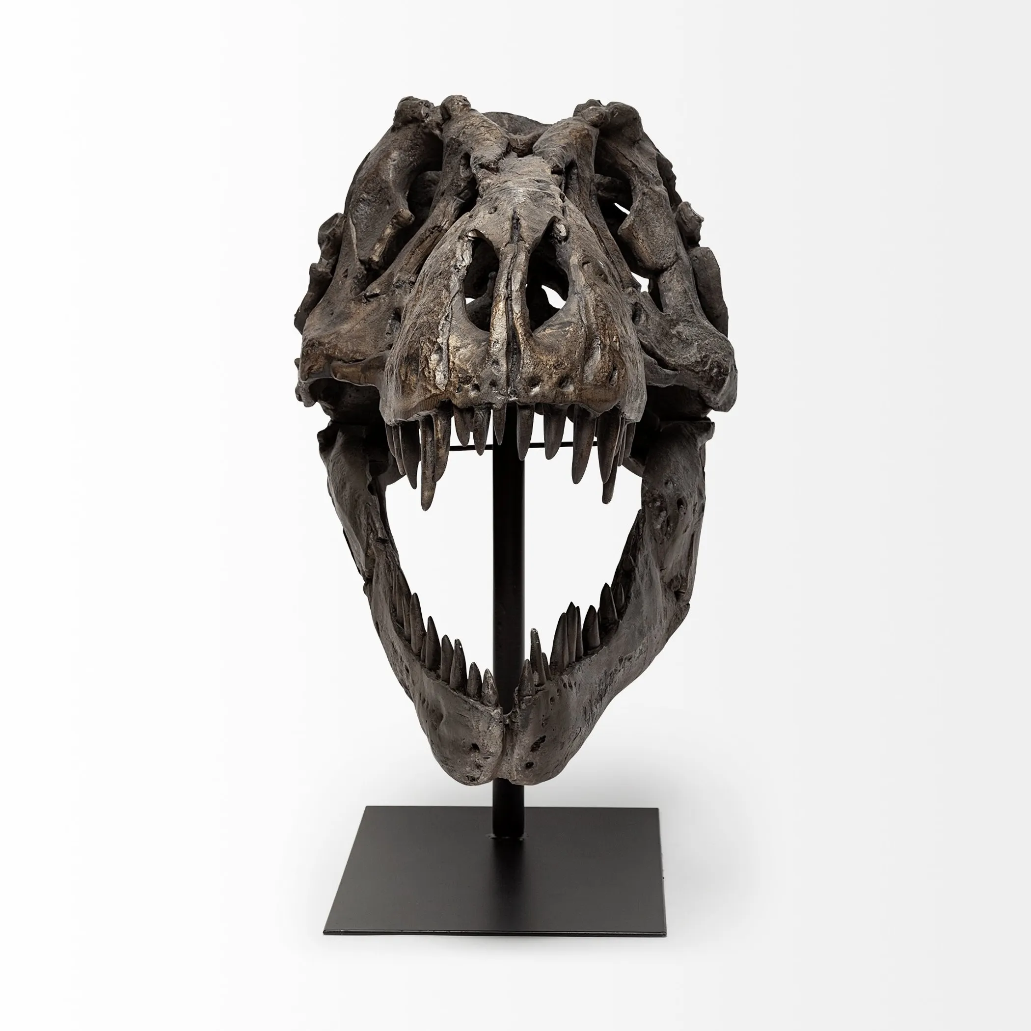 Authentic Replica T Rex Skull Sculpture - Image 2