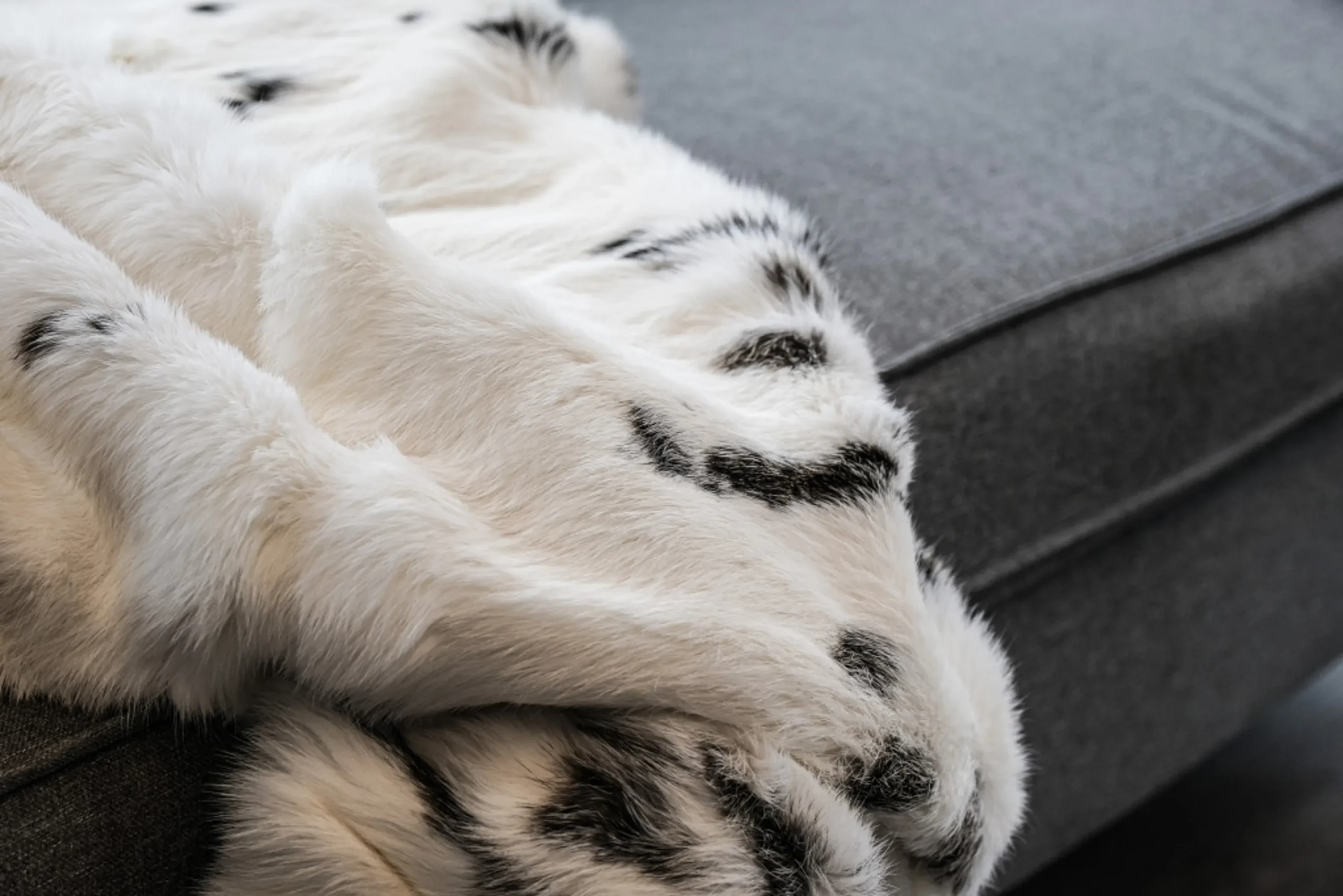50" X 60" Black And White Rabbit Fur Plush Throw Blanket - Image 4
