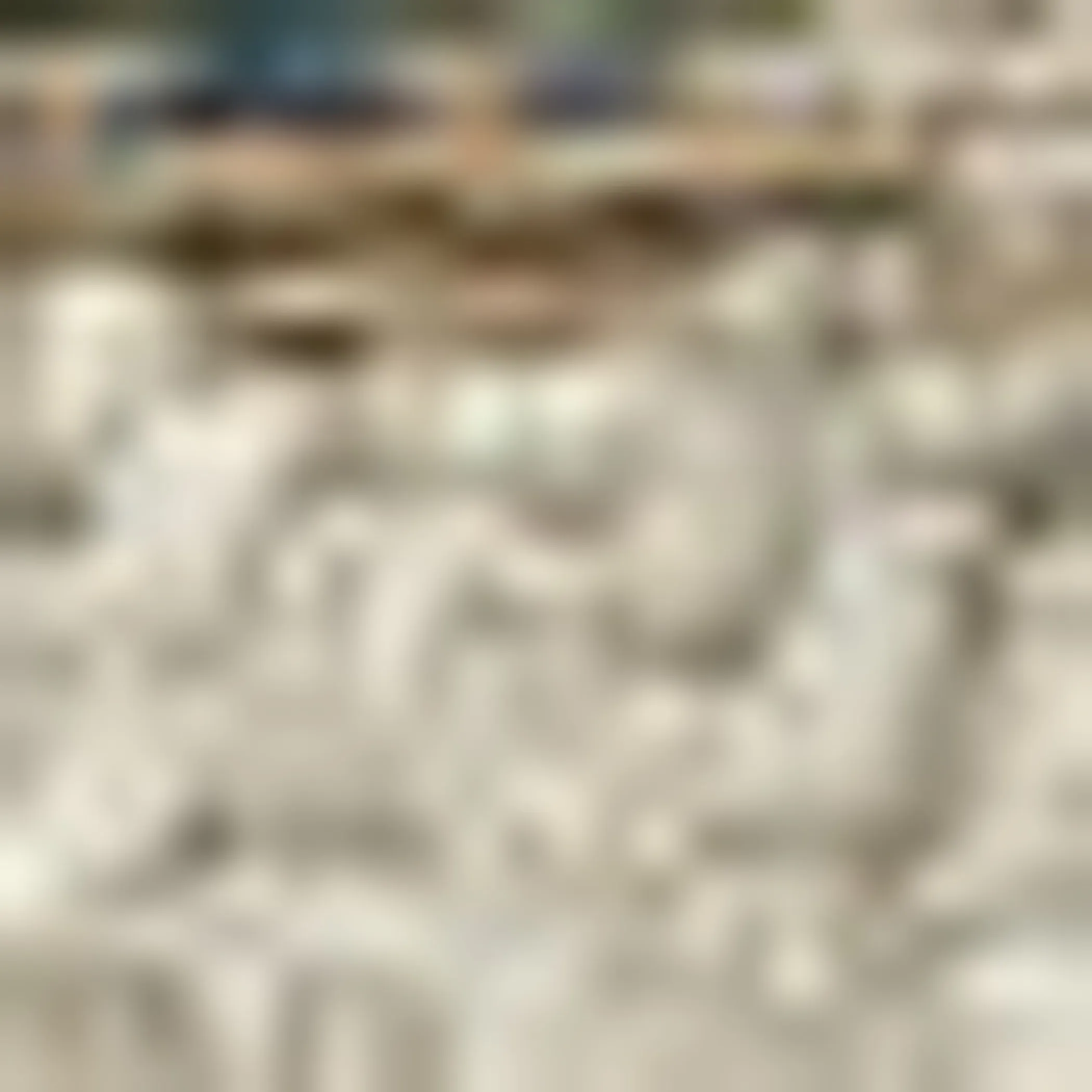 8' X 10' Gray Oriental Stain Resistant Indoor Outdoor Area Rug - Image 5