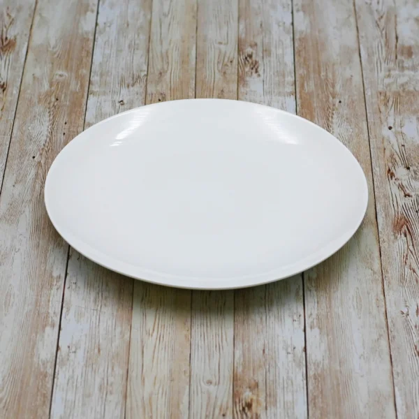 DINNER PLATE 10" | 25.5 CM